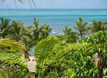 Waidroka Resort the view