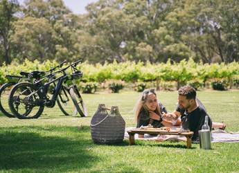 Bike about couple on lawn