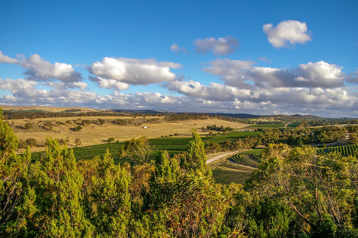 Clare Valley